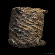 ตะกรุดไม้ครู หลวงปู่ภู  วัดอินทรวิหาร ปี2476