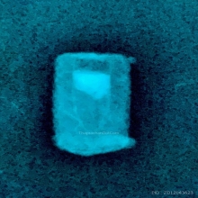 ตะกรุดไม้ครู หลวงปู่ภู  วัดอินทรวิหาร ปี2476