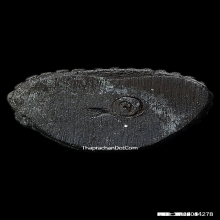 พระชัยวัฒน์หลวงปู่คร่ำวัดวังหว้าระยองรุ่นสร้างเจดีย์ปี37-38