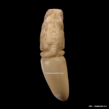 เสืองาแกะ หลวงพ่อคง วัดวังสรรพรส