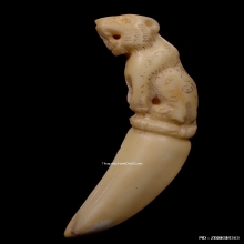 เสืองาแกะ หลวงพ่อคง วัดวังสรรพรส