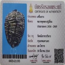 หมากทุย หลวงปู่เอี่ยม  วัดหนังราชวรวิหาร ปี2469