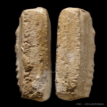 +บัตรสมาคม คะแนน หลวงตาพัน วัดบางขุนพรหม