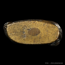 รูปหล่อพระสังกัจจายน์ วัดชิโนรสปี2512 ลป.สุข ปลุกเสกเนื้อจัด