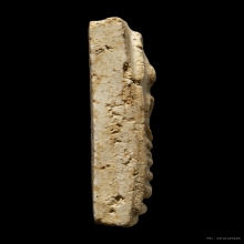 +บัตรสมาคม สมเด็จแขนกว้าง วัดประสาท