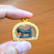 แพะหลวงพ่ออ่ำ วัดหนองกระบอก