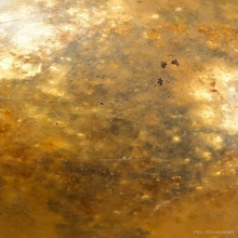 “สุดยอดสีผึ้งมหาเสน่ห์“หลวงพ่อทาบ กระบกขึ้นผึ้ฃ