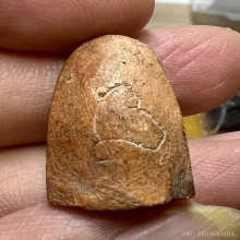 พระสังกัจจายน์พ่อพูน วัดใหม่ปิ่นเกลียวดินขุยปูหลังจารย์หายาก