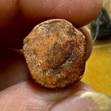 พระสังกัจจายน์พ่อพูน วัดใหม่ปิ่นเกลียวดินขุยปูหลังจารย์หายาก