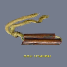 ตะกรุดสาริกา หลวงปู่ทิม วัดละหารไร่ เนื้อทองแดง 👑องค์ดารา👑