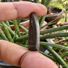 พระลีลาหลวงพ่อซวง วัดชีปะขาว เนื้อสำริด