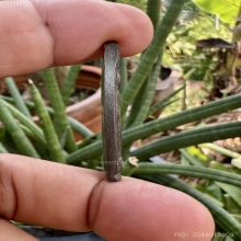 พระลีลาหลวงพ่อซวง วัดชีปะขาว เนื้อสำริด