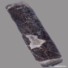 ตะกรุดจันทร์เพ็ญหลวงปู่ศุข วัดปากครองมะขามเฒ่า