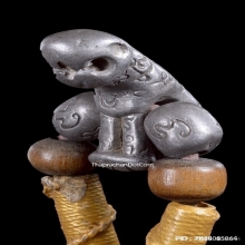 เสือหลวงพ่อโชติ วัดวชิราลงกรณ์ จ.นครราชสีมา