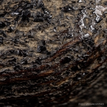 ตะกรุด โบราณ ถักเชือกจุ่มรัก เก่า ร้อย ปี