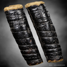 ตะกรุด หนังเสือ หลวงปู่บุญ วัดกลางบางแก้ว 