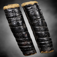 ตะกรุด หนังเสือ หลวงปู่บุญ วัดกลางบางแก้ว 