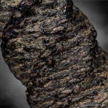 ตะกรุด หลวงพ่อทบ วัดชนแดน ยุคต้น 