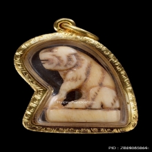 เสือหลวงพ่อเดิม วัดหนองโพ เนื้อกระดูก