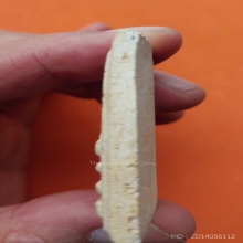 พระสมเด็จ ลป.นนาค วัดระฆัง พิมพ์เศีนรโต ปี 2495