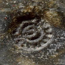 ล็อกเก็ตรูปไข่ รุ่นแรกหนังสือโค้ง หลวงปู่โต๊ะ