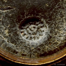 ล็อกเก็ตรูปไข่ รุ่นแรกแบบที่สอง หลวงปู่โต๊ะ