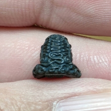 Superจิ๋ว พระปิดตา เนื้อนวะ ราเมศวรพ่อท่านคลิ้ง ปี 2523 