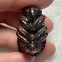 แมลงภู่คำพม่า-ไทยใหญ่ เนื้อไม้มงคลแกะจุ่มรัก (ไม่อุดปรอท)