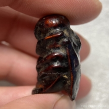 แมลงภู่คำพม่า-ไทยใหญ่ เนื้อไม้มงคลแกะจุ่มรัก (ไม่อุดปรอท)