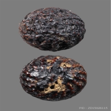 ตะกรุดไม้รวกมหาอุดหลวงปู่จัน วัดนางหนู