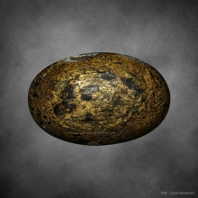 ลูกอมผงยาดำ เจ็ดพญาช้างสาร หลวงพ่อดิ่ง วัดบางวัว ปี2495