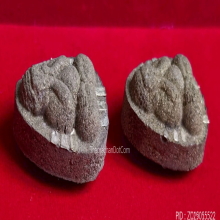 พระปิดตานวะมหามงคล หลวงพ่อคูณ วัดบ้านไร่ ปี 42