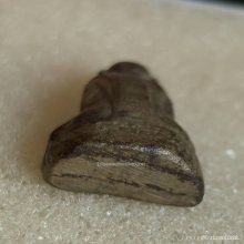 รูปหล่อหน้าลิง รุ่นแรก หลวงพ่อกวย ชัยนาท ปี 35 