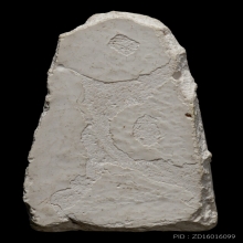 +บัตรสมาคม พระกรรมฐาน หลวงปู่ทวด หลวงปู่ดู่