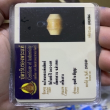 ตะโพนหลวงพ่อภักตร์ วัดโบสถ์ จ.อ่างทอง