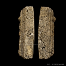 +ติดที่1สมาคม สิวลี เนื้อขาว วัดประสาท