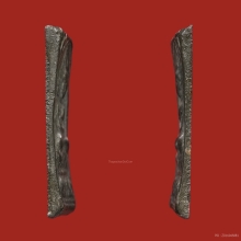 พระหลวงปู่ศุข พิมพ์ประภามณฑล ข้างอุ สภาพสวยแชมป์