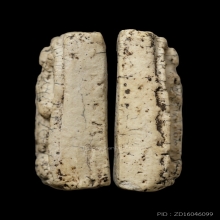 +ติดที่3สมาคม สิวลี เนื้อขาว วัดประสาท