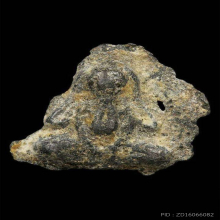 หลวงปู่ศุข วัดปากคลองมะขามเฒ่า ปิดตาแขนชิด