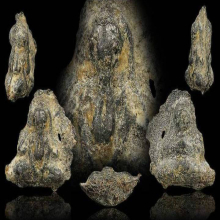 หลวงปู่ศุข วัดปากคลองมะขามเฒ่า ปิดตาแขนชิด