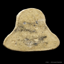 ติดที่2สมาคม ปิดตาหลวงปู่ดู่ เนื้อผงโขลก วัดสะแก