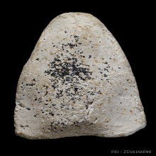 +ติดที่3สมาคม สมเด็จโต เนื้อขาว วัดประสาท