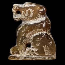 +บัตรสมาคม เขาควายเผือกแกะ เสือตัวใหญ่หลวงพ่อคง วัดวังสรรพรส