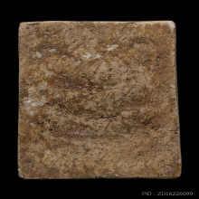 ติดที่1สมาคม ซุ้มระฆังฝังตะกรุด หลวงปู่นาค วัดระฆัง 