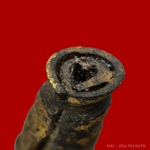  ตะกรุดหนังหน้าผากเสือ หลวงปู่นาค วัดอรุณราชวราราม (วัดแจ้ง