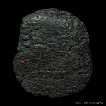 หลวงพ่อสุ่น วัดบางปลาหมอ