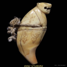 เขี้ยวแกะรูปเสือ หลวงพ่อนก วัดสังกะสี จ.สมุทรปราการ 