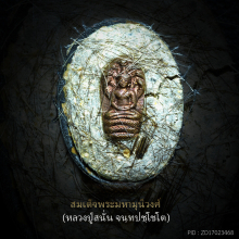 ล็อตเก๊ตหลวงปู่สนั่น จนฺทปชฺโชโต วัดนรนารถ สุดยอดมงคล