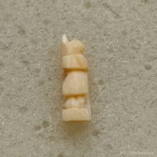 พระสิวลีมหาลาภ (งาแกะ) หลวงพ่อศาสน์ วัดพระนอน จ.แม่ฮ่องสอน 