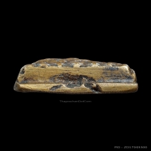 หลวงปู่ทวด วัดช้างให้ พิมพ์เตารีดเอ(A)